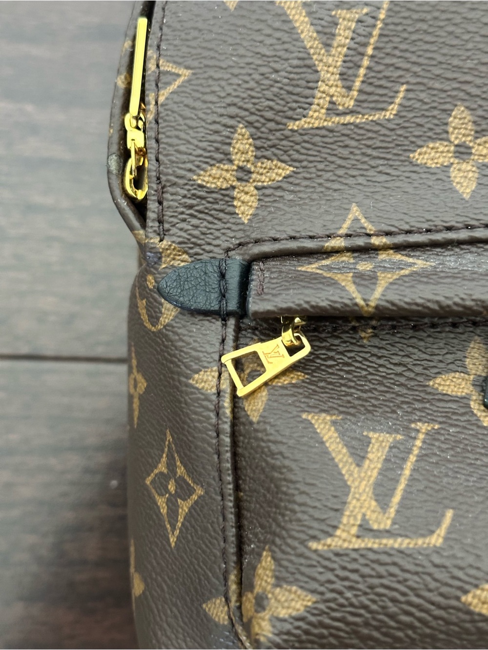 Louis Vuitton Palm Springs Mini Backpack - Picture 7 of 16